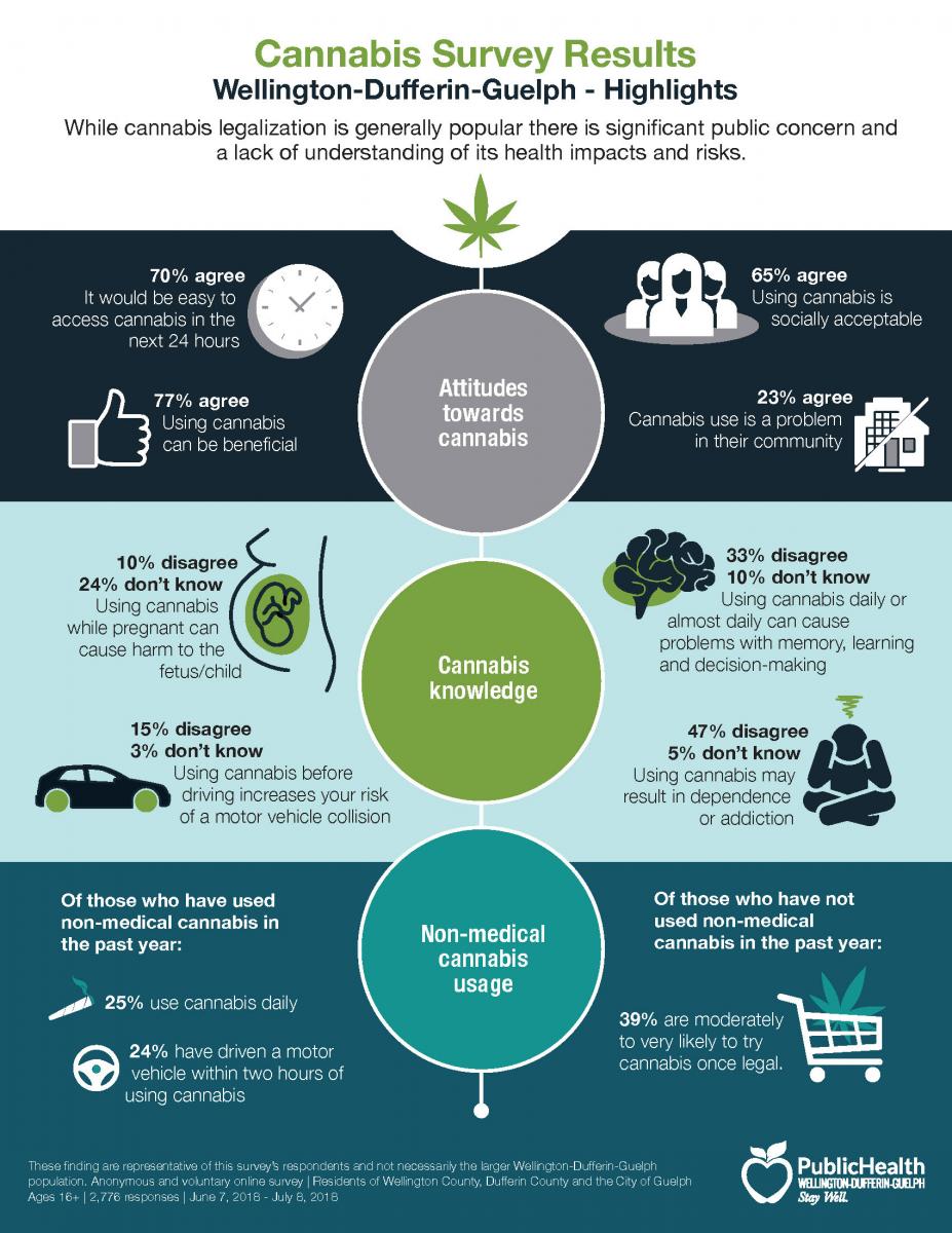 Infographic of Cannabis Survey Results