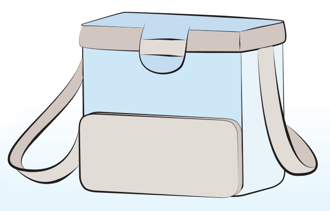 cooler bag