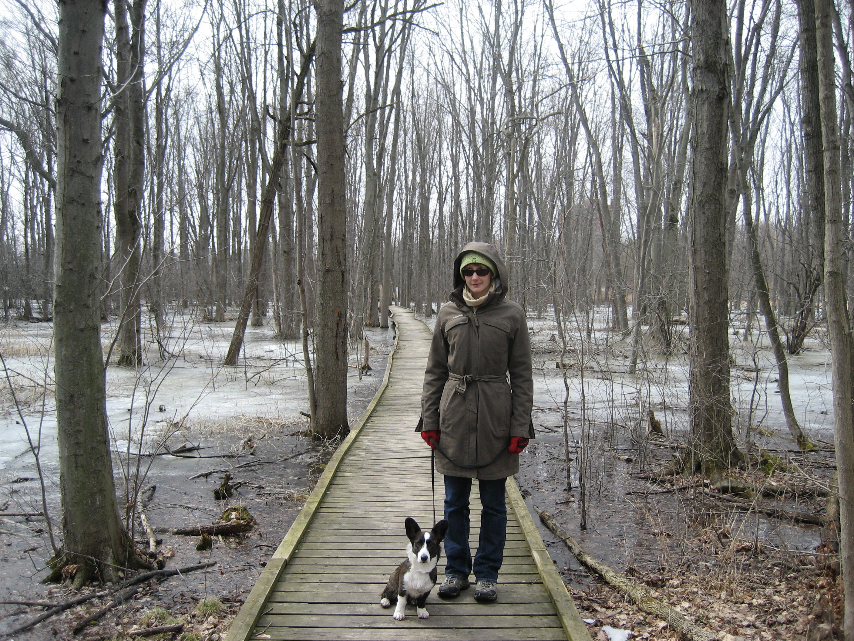 Jill and Noodles out for a walk