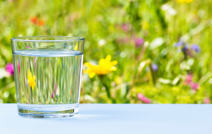 Water on spring background