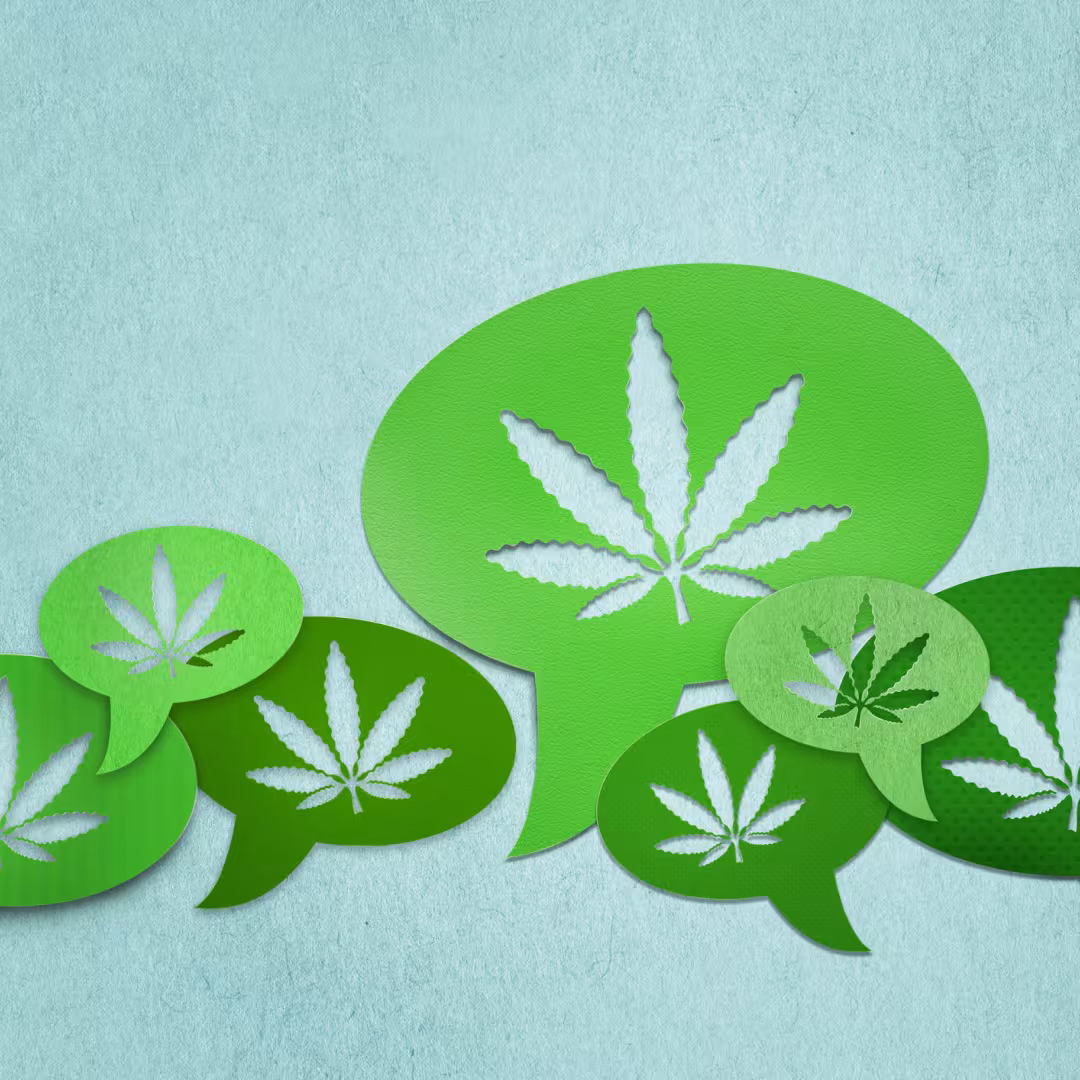 Graphic of multiple green speech bubbles with a cannabis leaf in each of them