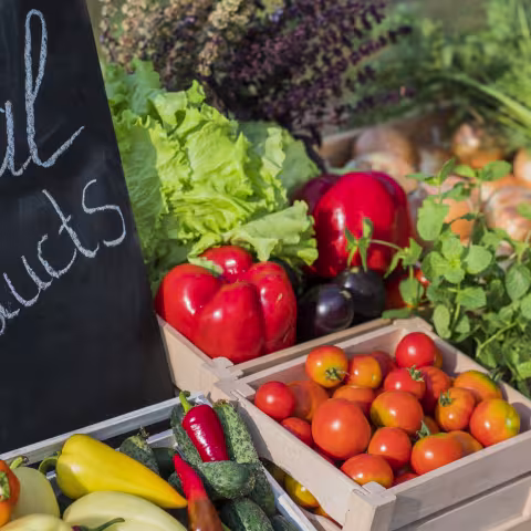 fresh produce at a farmers market table
