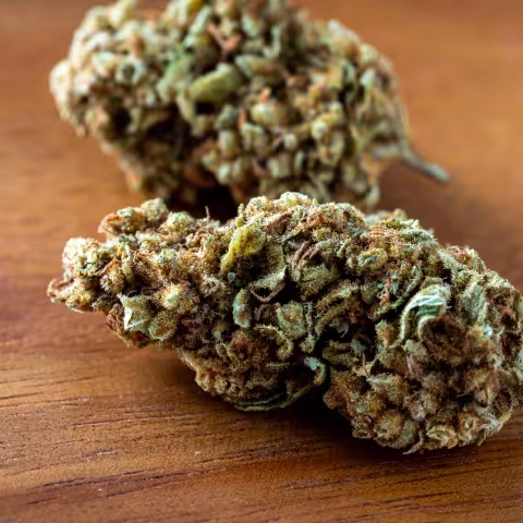 close-up of high-quality cannabis buds