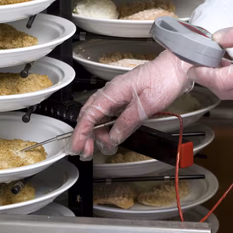 Chef checking temperature of meat with thermometer.