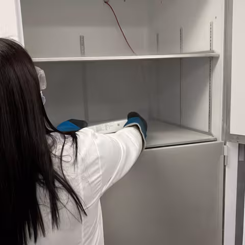 Nurse placing vaccines in fridge