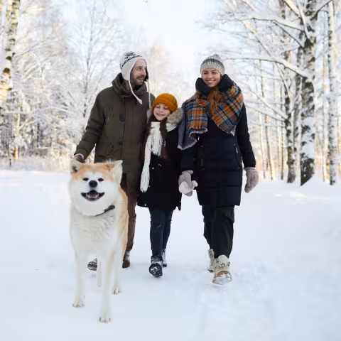 family walking in the woods with their dog in winter