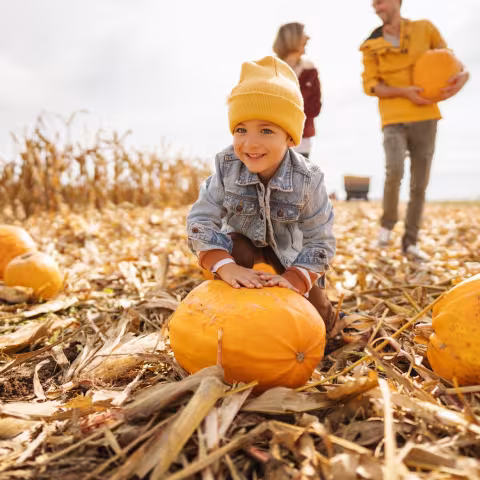 young boy in pumpkin patch with family