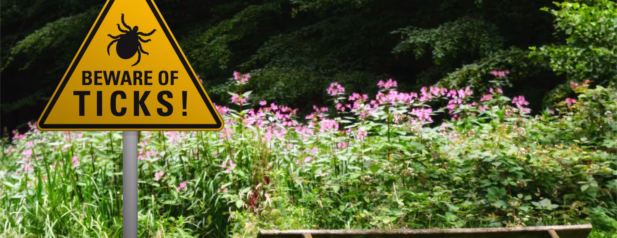 Beware of ticks sign in nature with bench