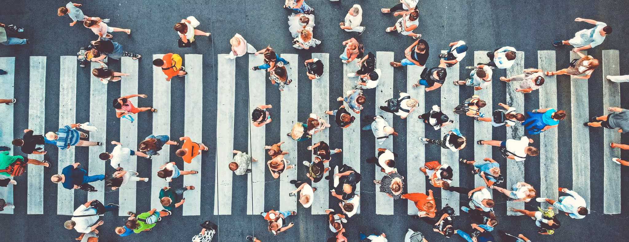 Overhead view of people walking across crosswalk