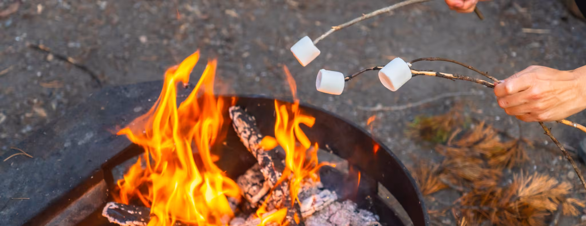 A pair of hands holding sticks with marshmallows that are being roasted over a bonfire.